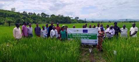 Cultivating Knowledge for Sustainable Rice Production in the Uvira Living Lab