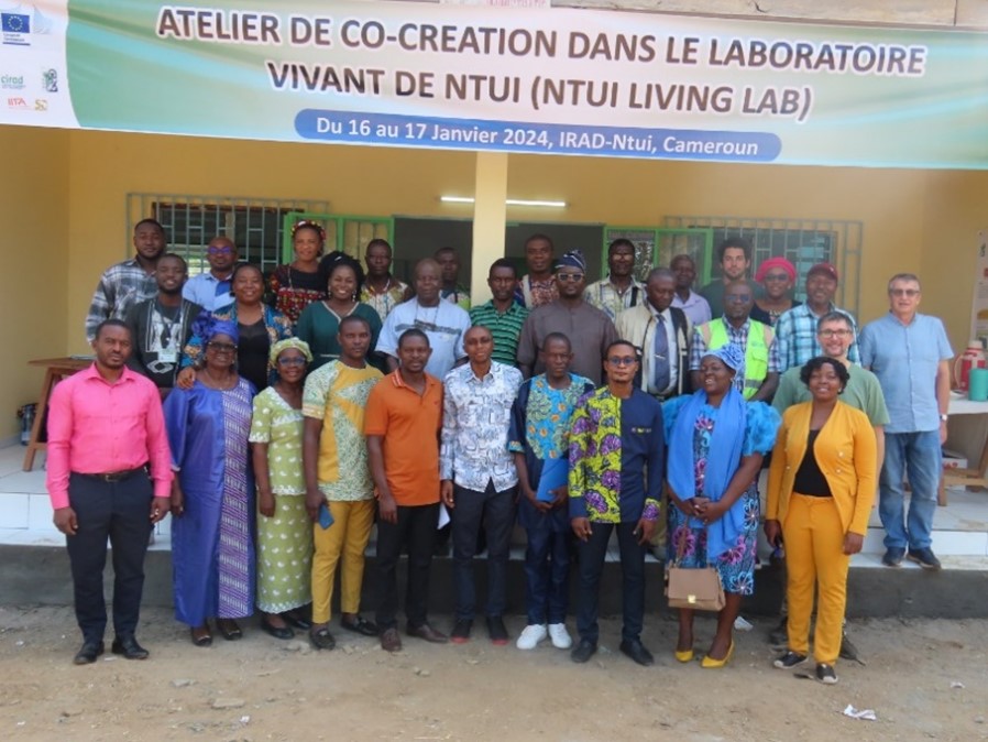Key Challenges Faced in Cocoa Farming and Potential Agroecological Solutions in Ntui, Center Region of Cameroon