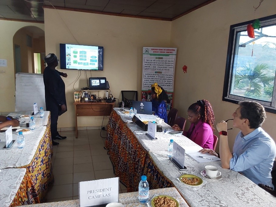 Measures to support CAMFAAS' missions and visions in Cameroon's agricultural sector