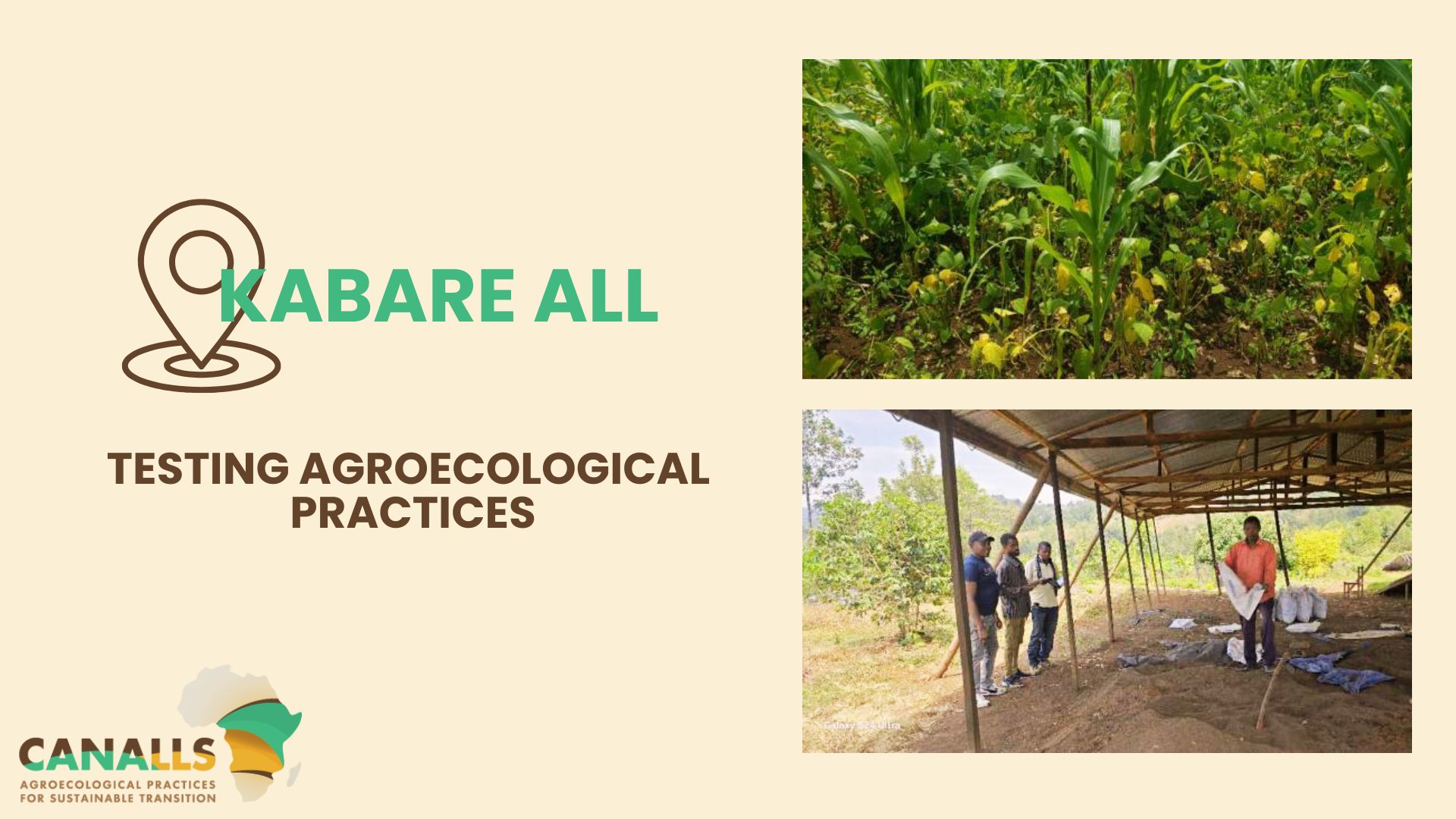 Promoting Sustainable Agriculture in DR Congo: The Kabare Agroecological Living Lab