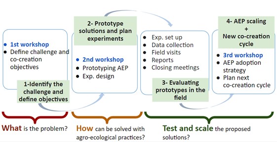 Co-creation of Agroecological Practices in the Agroecology Living Labs